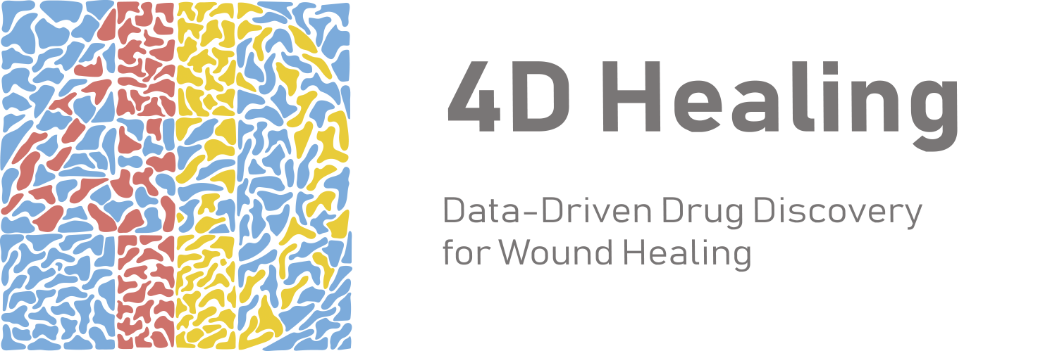 4D Healing logo